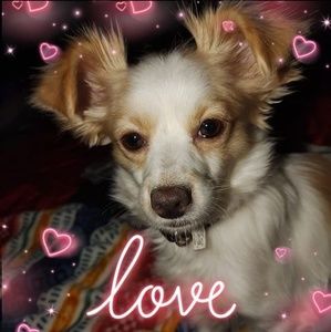 Meet your Posher, Kay